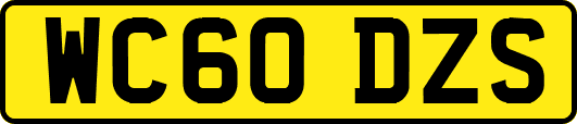 WC60DZS