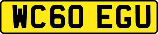 WC60EGU