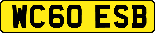 WC60ESB