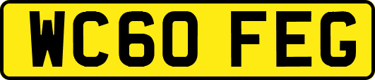 WC60FEG
