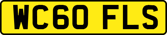 WC60FLS