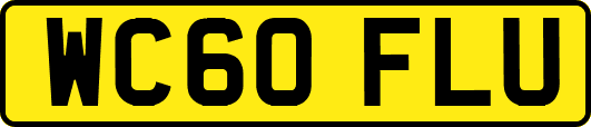 WC60FLU
