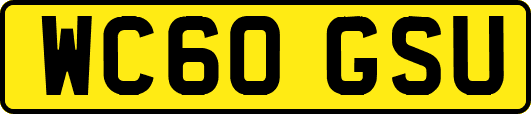 WC60GSU