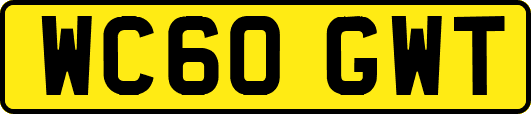 WC60GWT