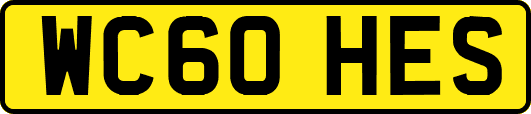 WC60HES
