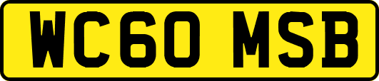 WC60MSB