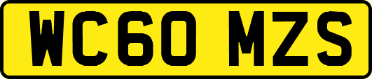 WC60MZS