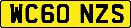 WC60NZS