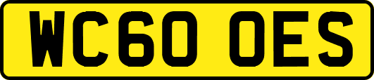 WC60OES