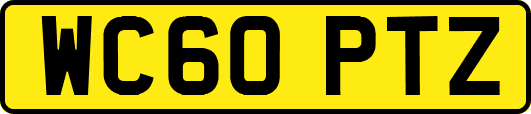 WC60PTZ