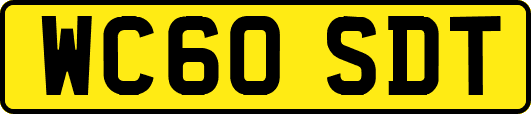 WC60SDT