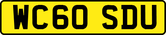 WC60SDU