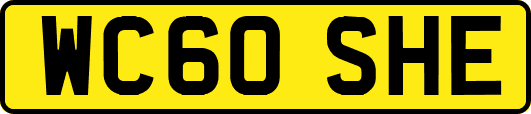 WC60SHE