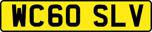 WC60SLV