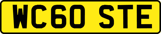 WC60STE