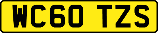 WC60TZS