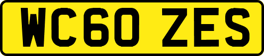 WC60ZES