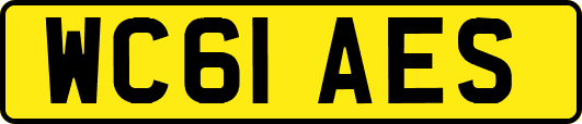 WC61AES