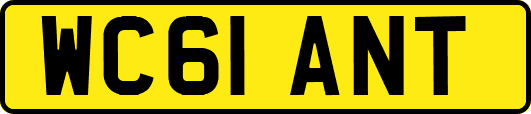 WC61ANT