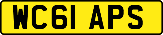 WC61APS