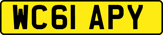 WC61APY