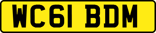 WC61BDM