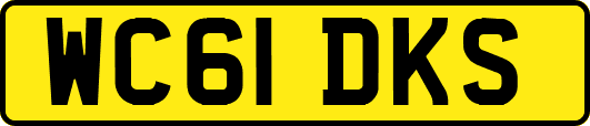 WC61DKS