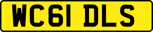 WC61DLS