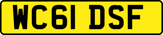 WC61DSF
