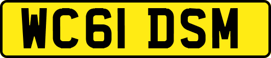 WC61DSM