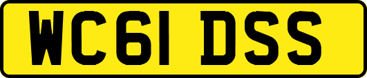 WC61DSS