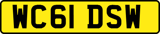 WC61DSW