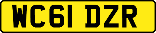 WC61DZR