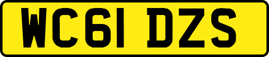 WC61DZS