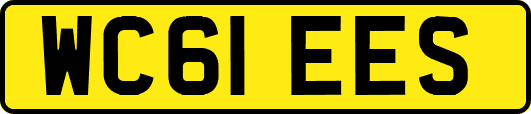 WC61EES
