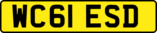 WC61ESD