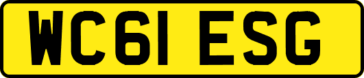 WC61ESG