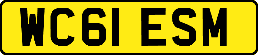 WC61ESM