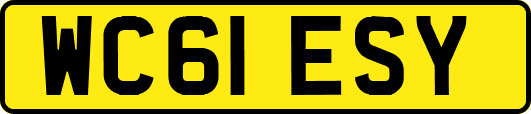 WC61ESY