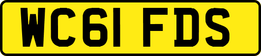 WC61FDS