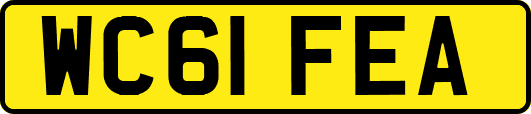WC61FEA