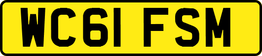 WC61FSM
