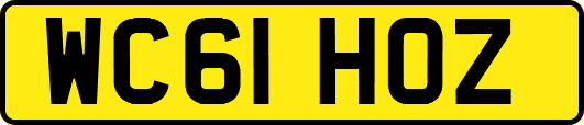 WC61HOZ