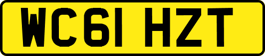 WC61HZT