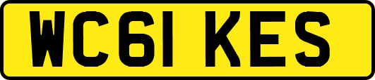 WC61KES