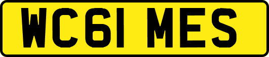 WC61MES