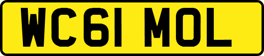 WC61MOL