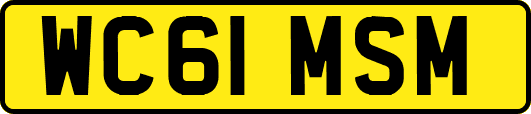 WC61MSM