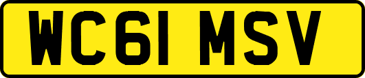 WC61MSV