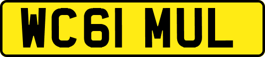 WC61MUL